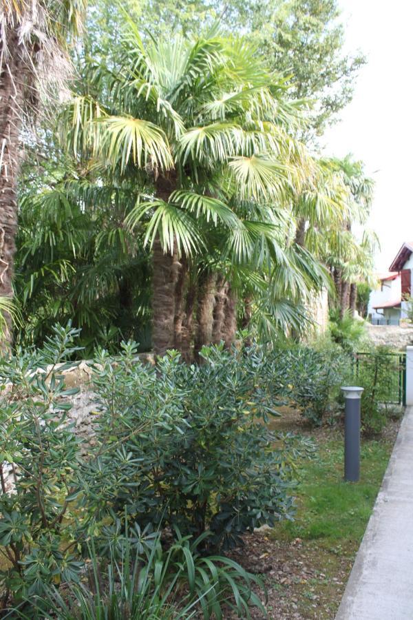 Chalet Ilona Cambo-les-Bains Bagian luar foto